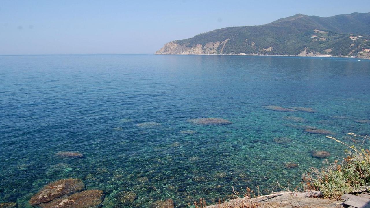 Il Rospo 호텔 모네글리아 외부 사진